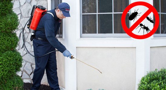 Kovancılar Kemirgen İlaçlama böcek ilaçlama ve haşere kontrolü — ilaclama-tr.com